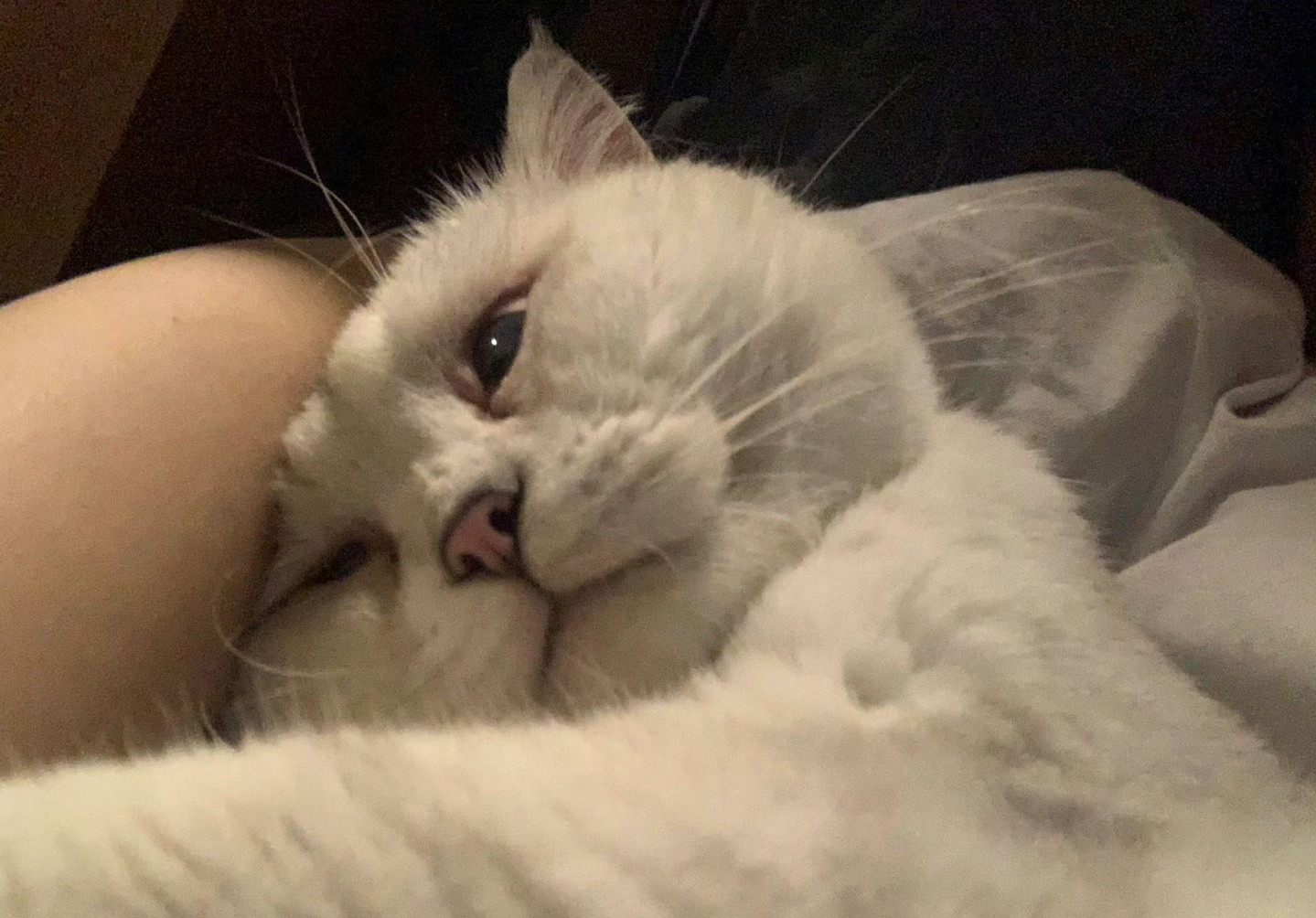 男朋友很明确的告诉我，他买不起房​🌚​​​