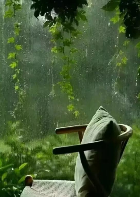 富贵人家很少见燕子窝，老辈人早有言：燕子飞入你家搭窝，其实是在提醒你这三件事。