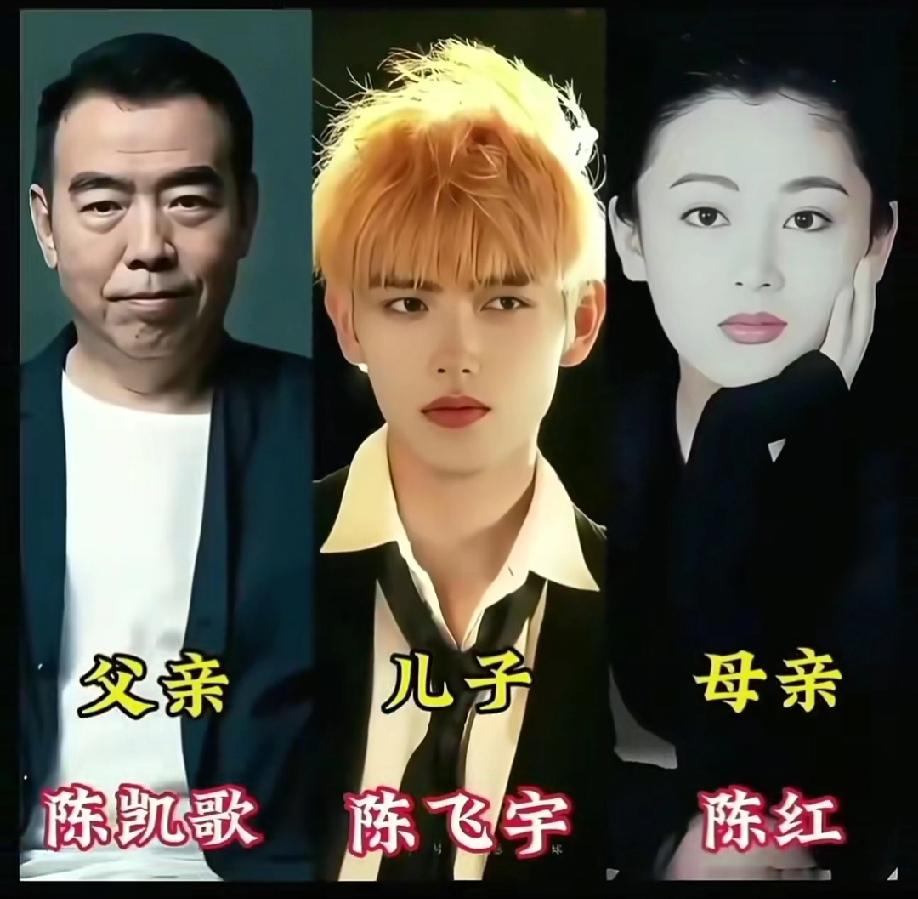 明星儿女大对比，像父亲多，还是像母亲多？哪家儿子最帅，谁的女儿最漂亮？女明星女