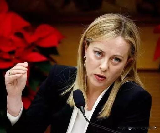 意大利总理说的非常对！12月14日彭博社报道，意大利总理梅洛尼称，欧洲不应接