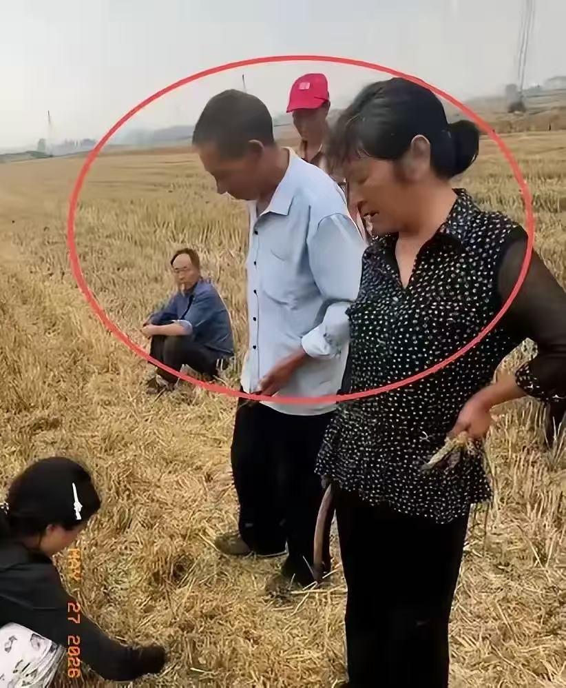 作为湖北人，我得说句公道话，这位大娘的子女你们自己看着办！农忙时候，