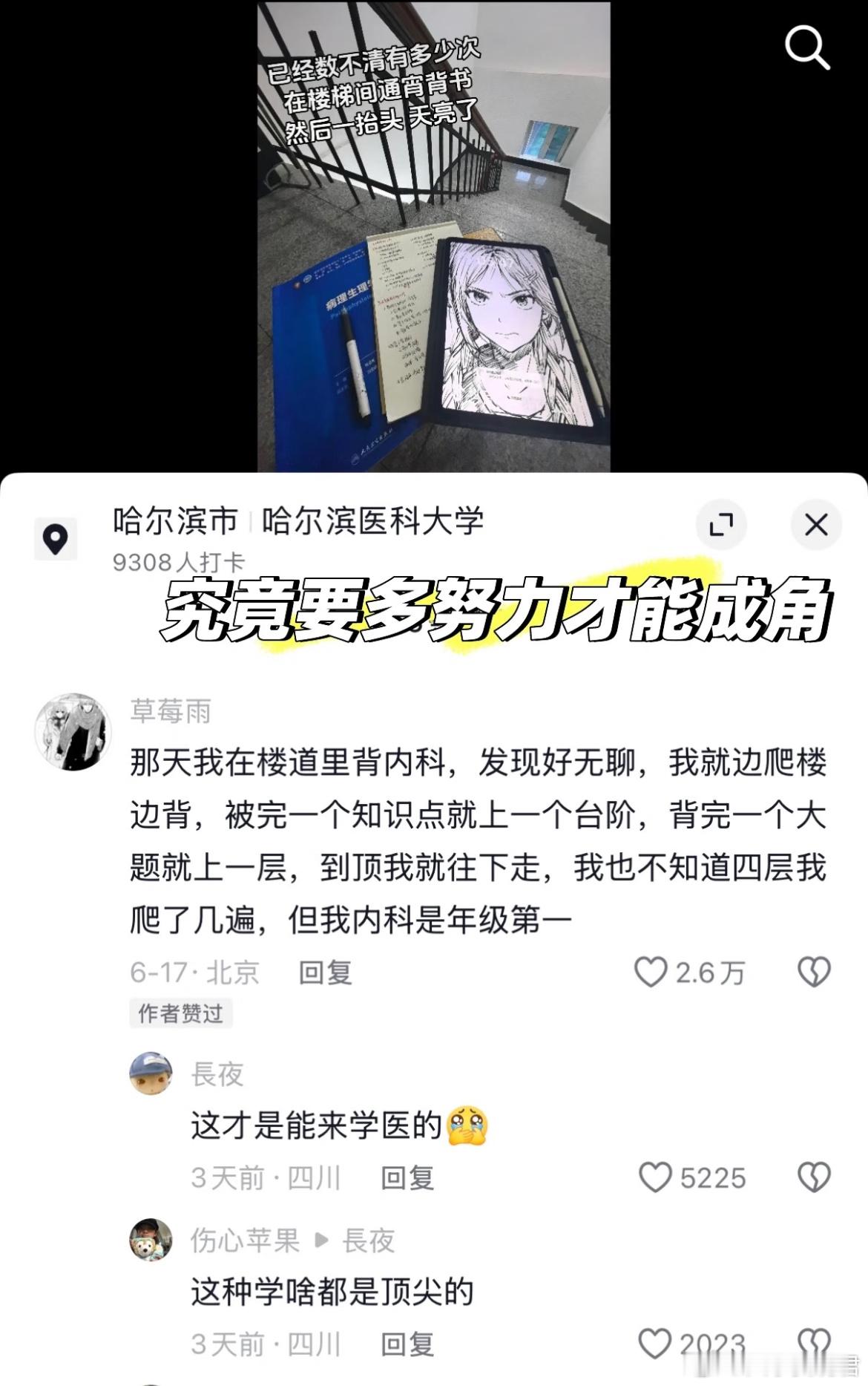 究竟多努力才能成角。