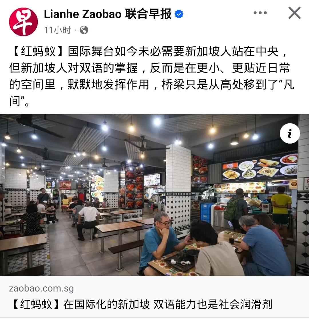 新加坡做得很绝想得却挺美！《联合早报》专栏文章称：国际舞台如今未必需要新加坡