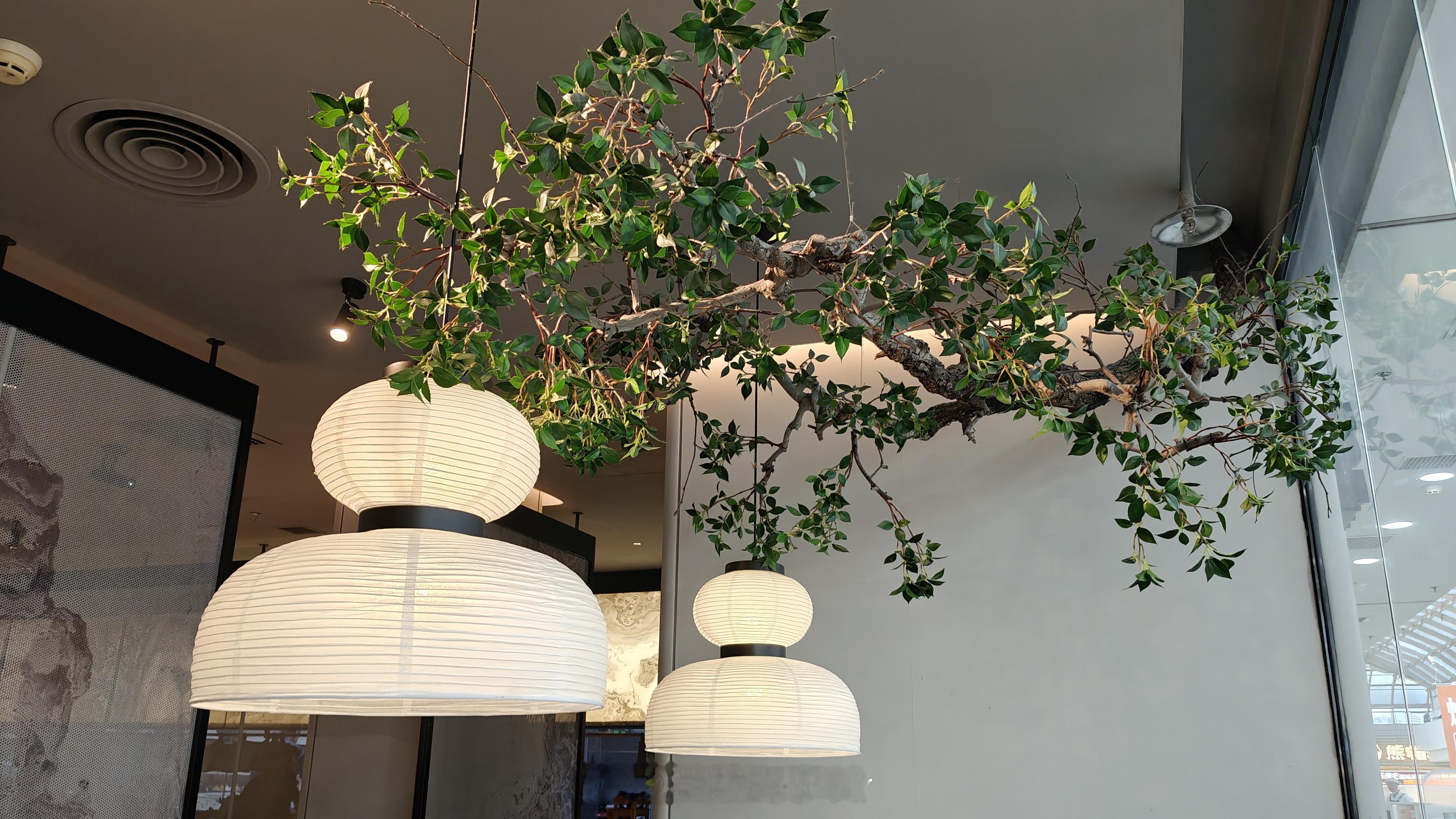 🦐好吃笋干一般，不推荐两个菜一碗🍚不到70块钱也算可以接受反正我下次不会去了