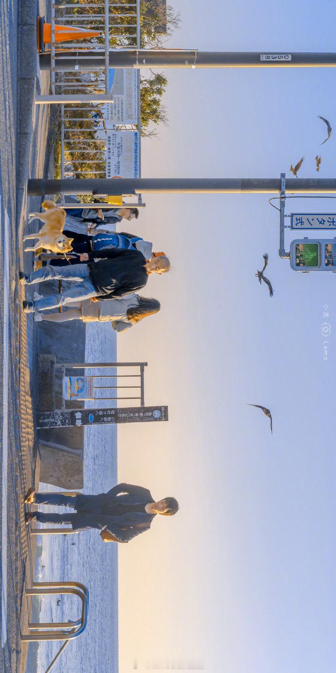 你便是这暮色，灿烂的撞到我身上。摄影师：小武拉莫