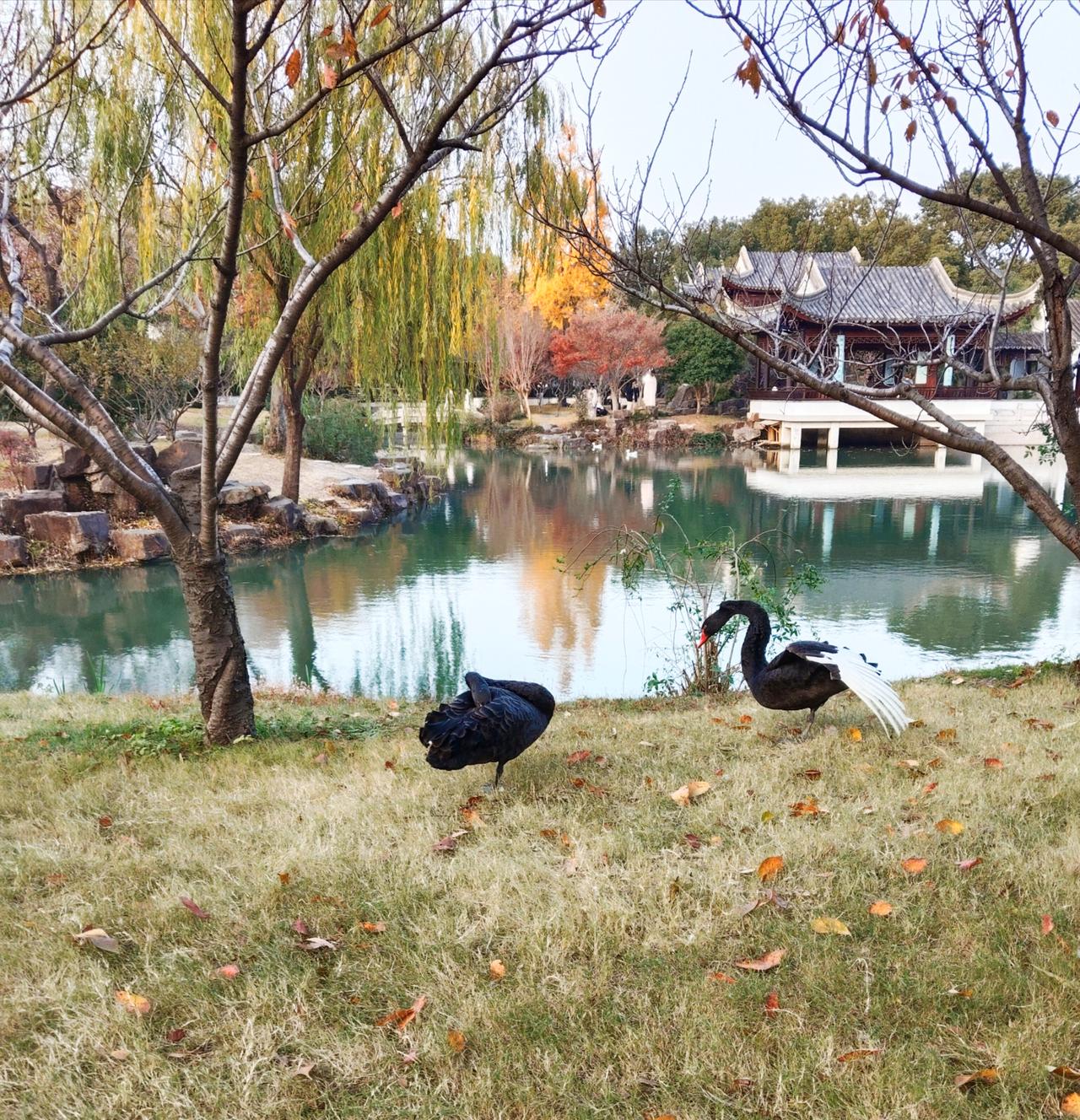 “虾青素：这个海底宝藏，竟然能让你变得更健康！快来看看它的神奇魔力”嘿，朋