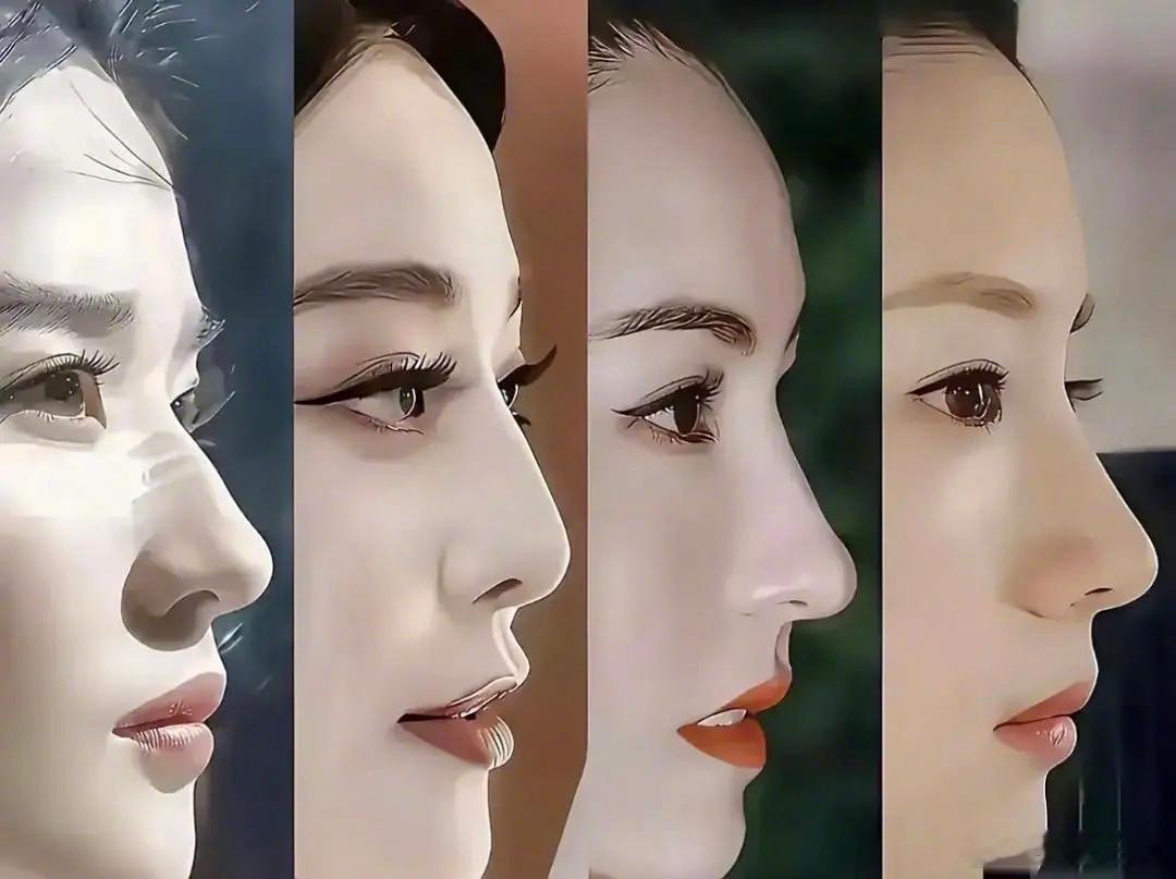 四位美女哪个的鼻子最喜欢刘亦菲、范冰冰、张柏芝、董洁​​​