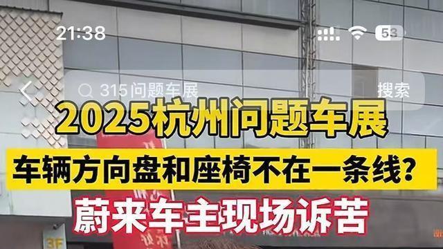 315问题车展车型曝光: 奥迪路虎被扯下了遮羞布, 想买车的注意了