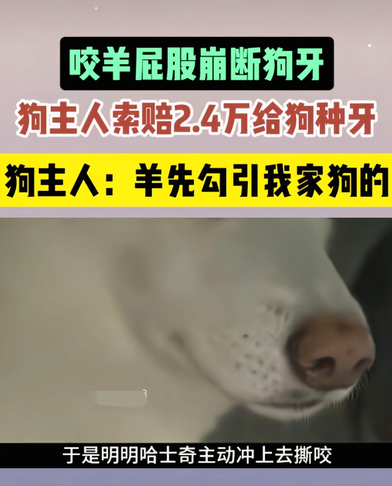 真是滑天下之大稽啊[捂脸哭]