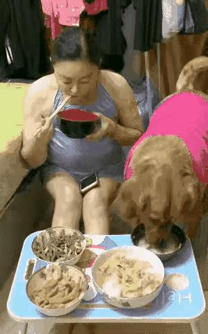 让狗和人同桌吃饭，这女子是咋想的？视频中一女子在吃饭，她把狗狗的饭碗和自己的饭