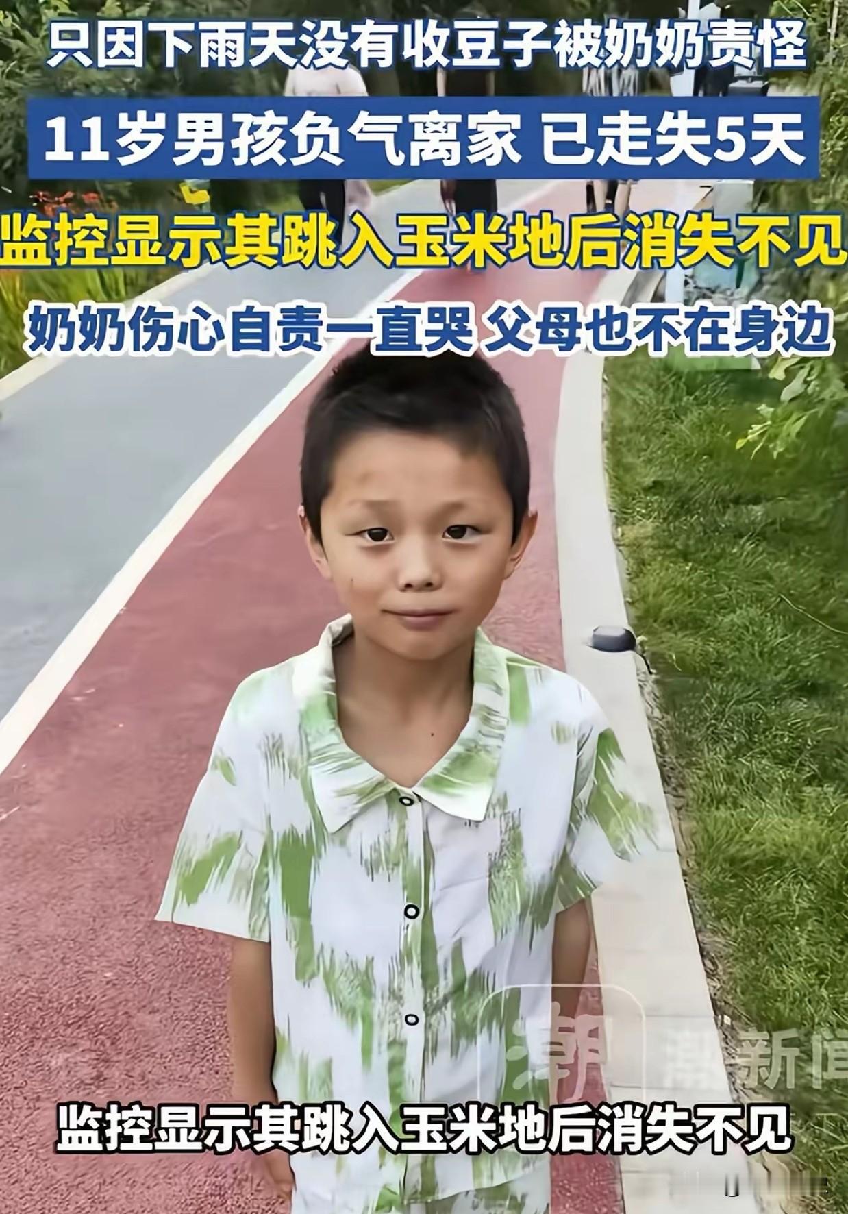 担心的事情还是发生了！云南昭通，11岁男孩因为忘了帮奶奶收豆子，被奶奶痛骂，一赌