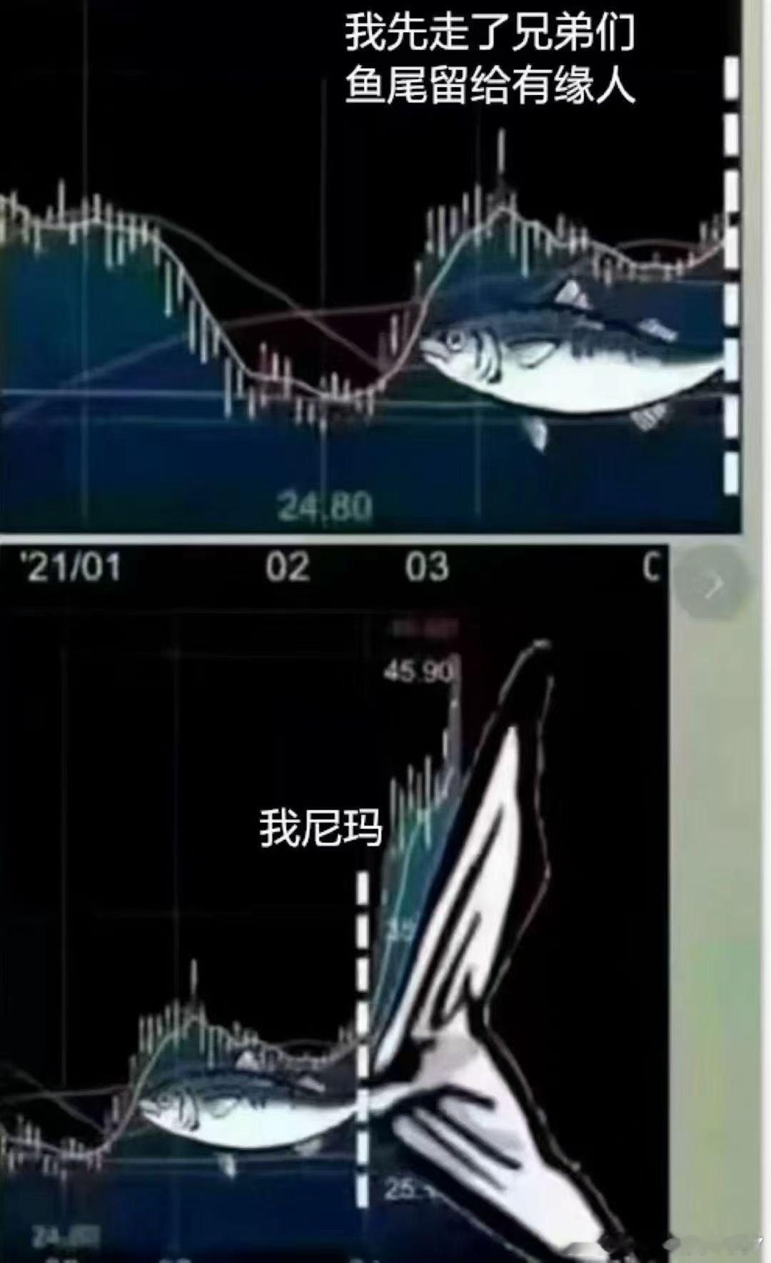 这是什么鱼，尾巴好大​​​