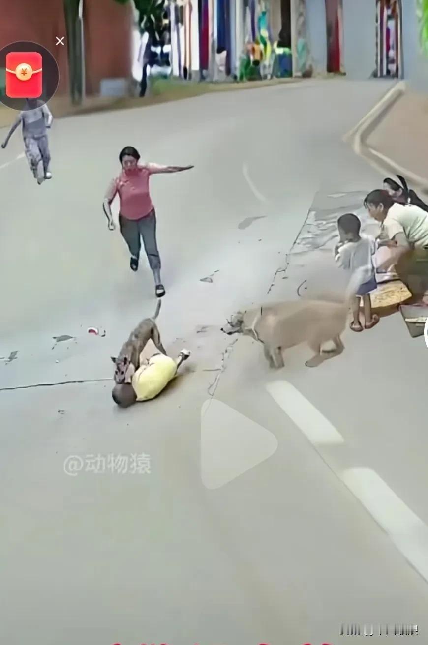 这只金毛的主人没白疼它，它既通人性又懂得护主，当流浪狗扑倒小主人时，金毛立刻冲出