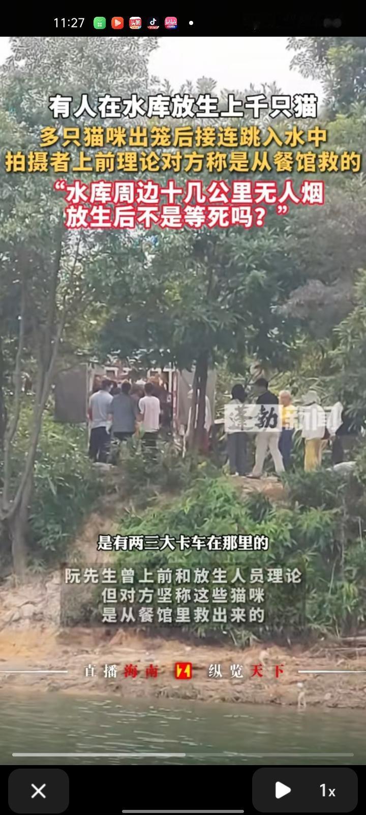 11月1日，广东清远。网友晒视频反映称，一群人到迎咀水库放生大量野猫，并往水里驱