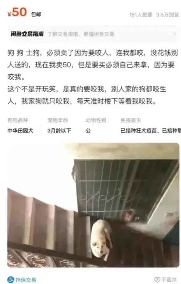你猜他为什么只能自提