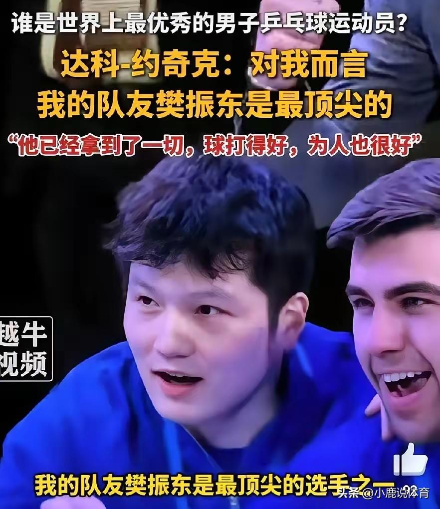樊振东到底有多牛。欧洲队友全服了。小弗队长亲口夸。自律又勤奋。天赋还