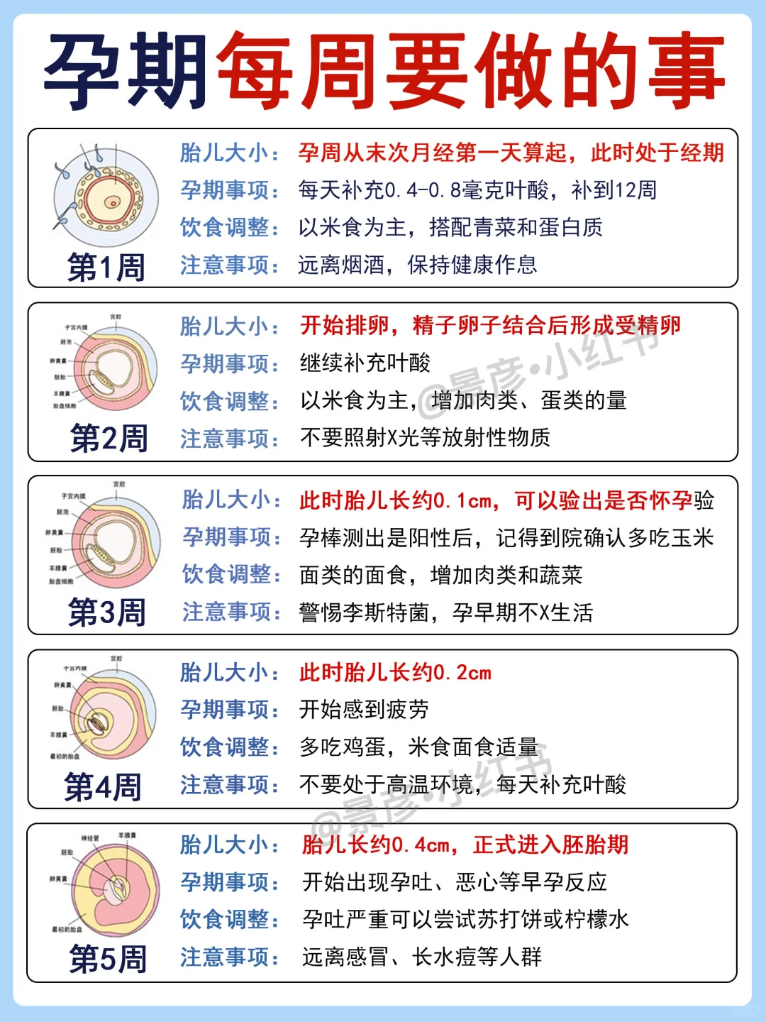 🔥孕期每周要做什么？注意事项➕营养补充