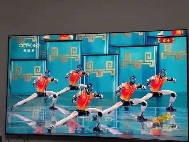 春晚舞台上，一群机器人整齐划一、翻跟斗、演武术，很多人只当是热闹的科技表演。可真