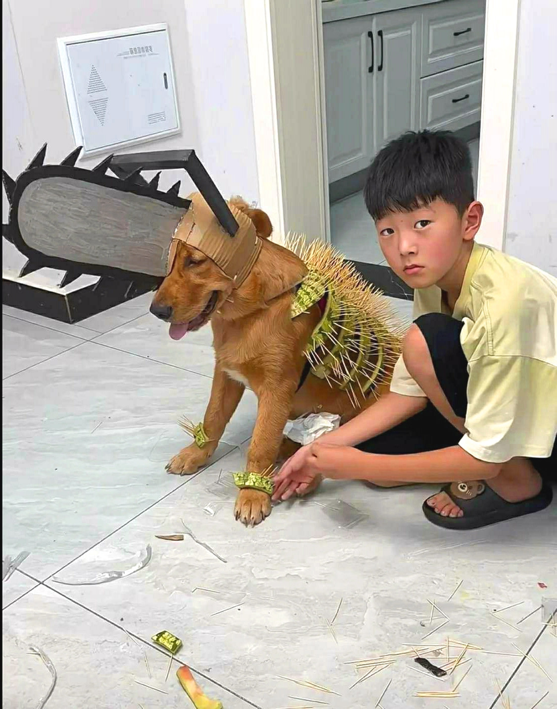 一看狗子就是个“尖子生”