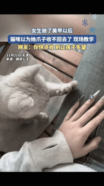 “太有灵性了！”女生做完美甲回家，猫咪盯着她的指甲直着急，以为她爪子收不回去了，