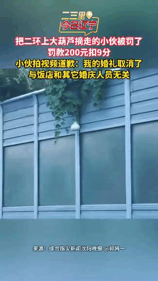 “活该被退婚！”沈阳，一男子手欠摘走二环900万人守护的大葫芦，违规停车还得意炫