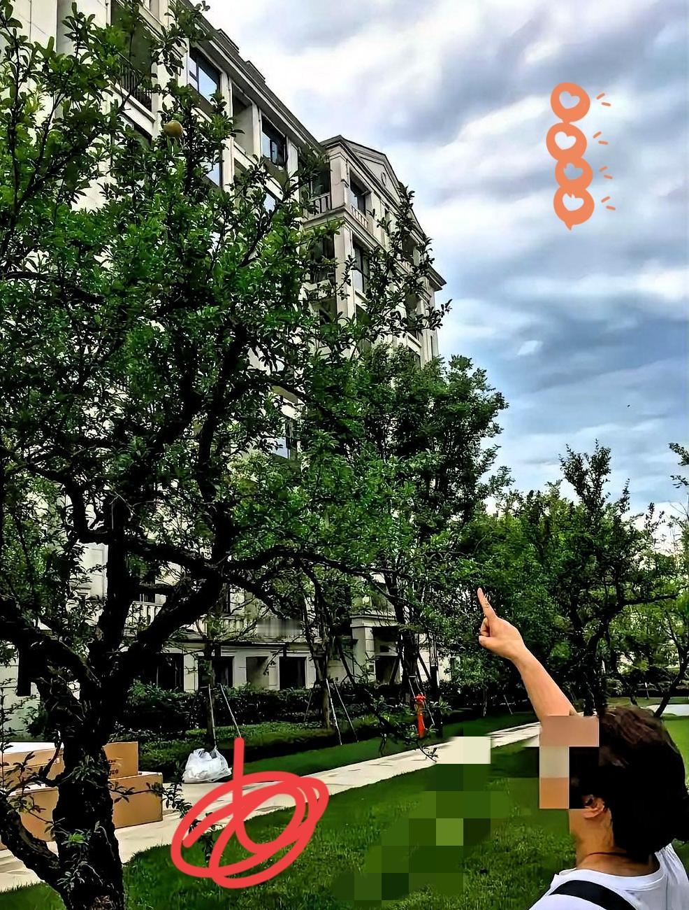 不卖了。打死都不卖了。香港那场大火，直接把我给浇醒了。之前总嫌弃它没电梯