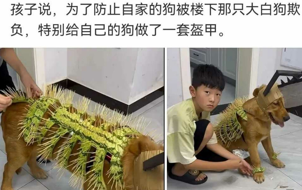 一看狗子就是个“尖子生”