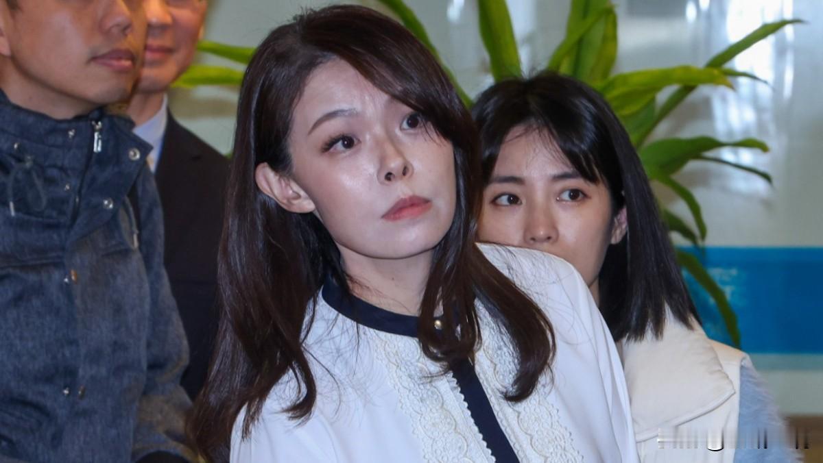 蓝白表决通过“高虹安条款”缓刑、易服社会劳动者可参选台立法机构今天（12
