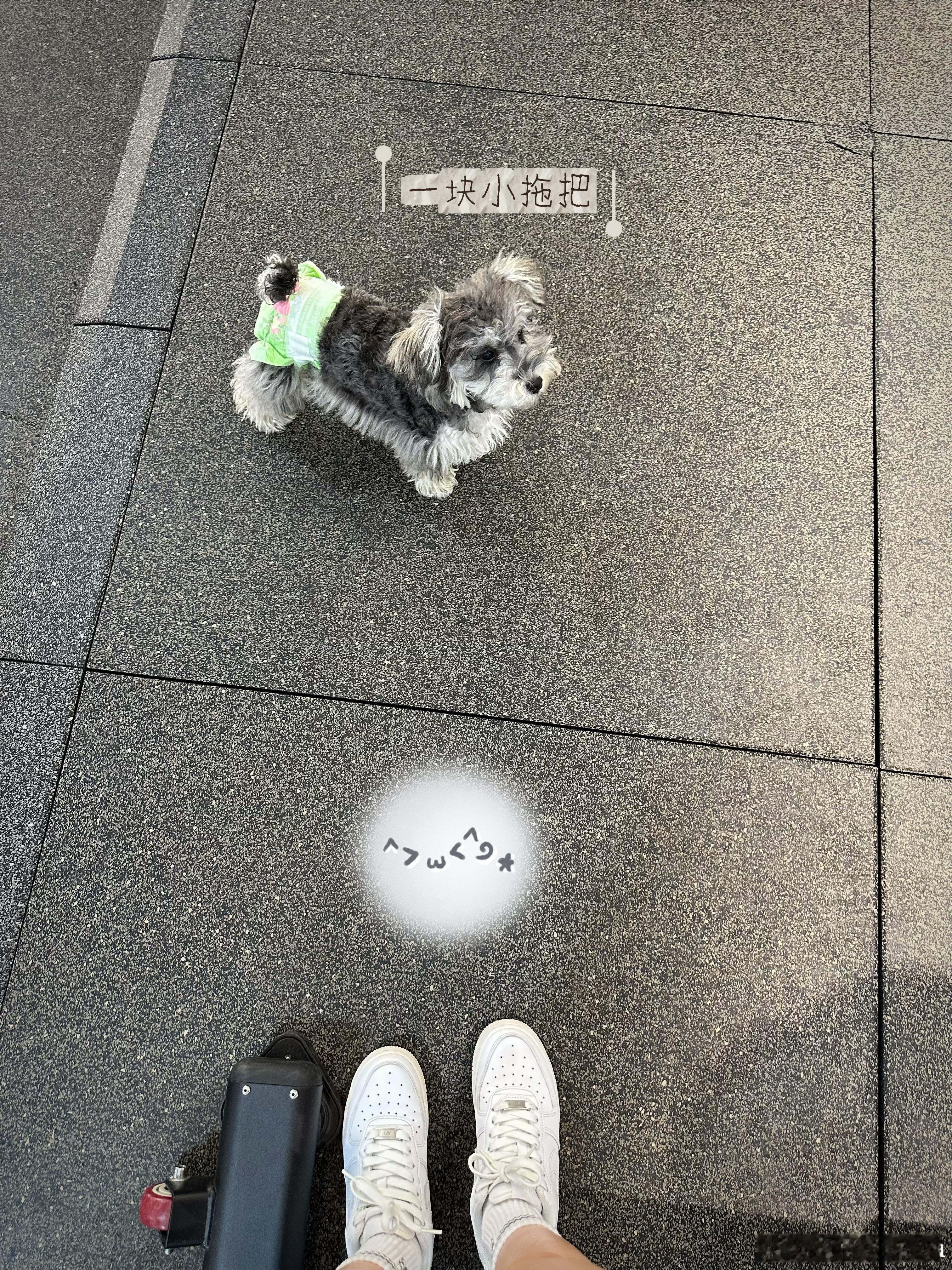 好睡眠💤+好天气☀️+好心情💕=好状态🥰✨运动打卡​​​