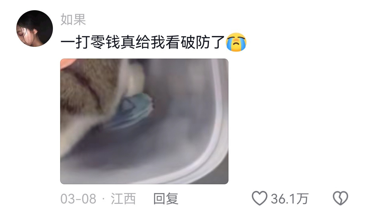 老人家不懂，只能把小猫托付给命运