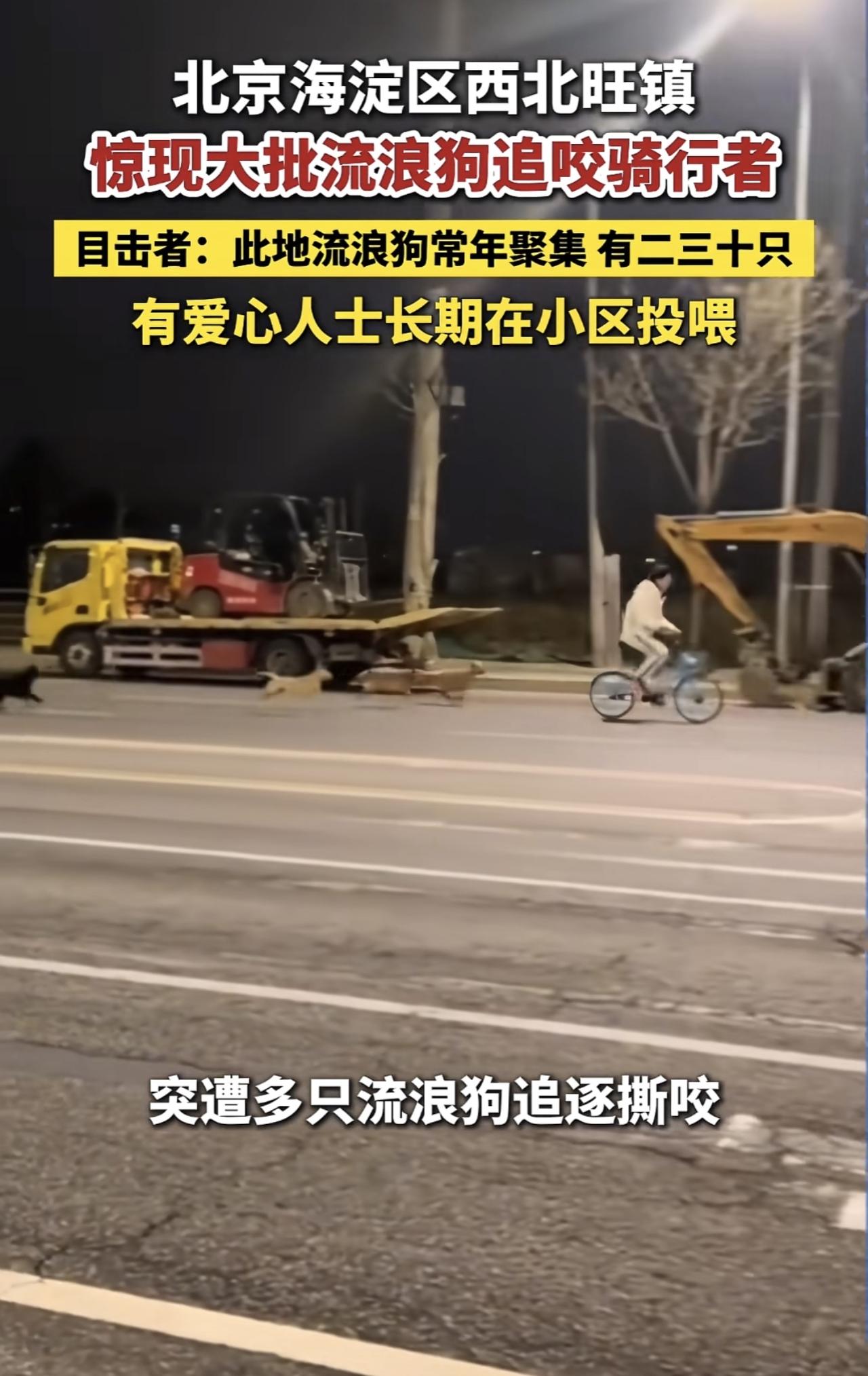 看了原视频之后，我才知道当时骑车的人有多害怕。可以看到那个时候这位骑车的人拼命的