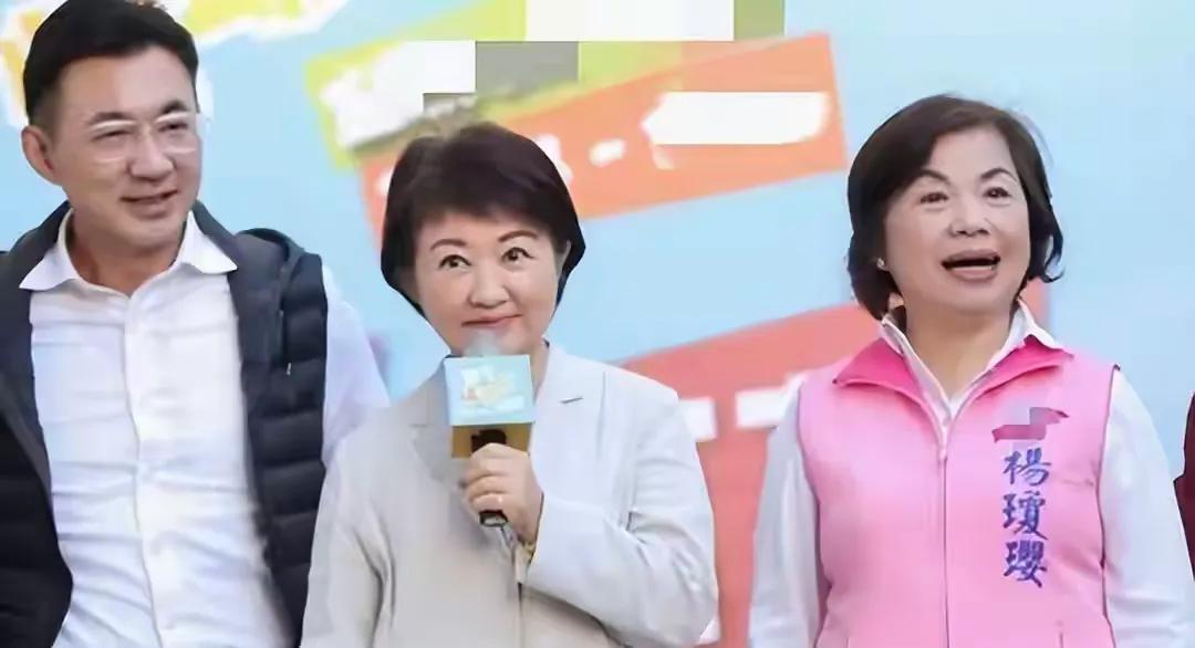 郑丽文已确定，征召4位大将参选；江启臣傻眼，卢秀燕遭枪击威胁国民党在2026年