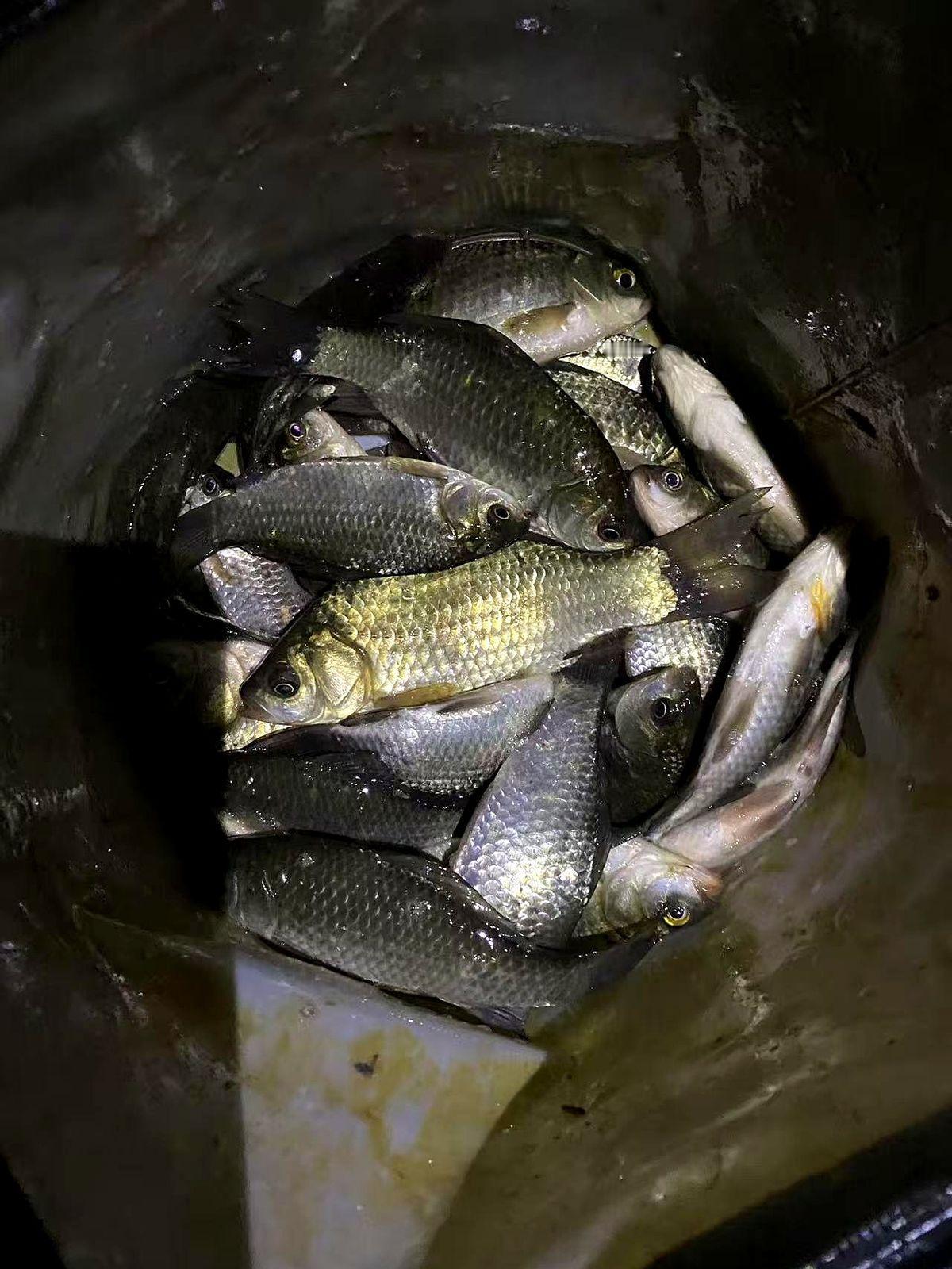 这退休生活，谁看了不眼红啊！某师傅刚退休，一辈子就好这口钓鱼。退休工资4200全