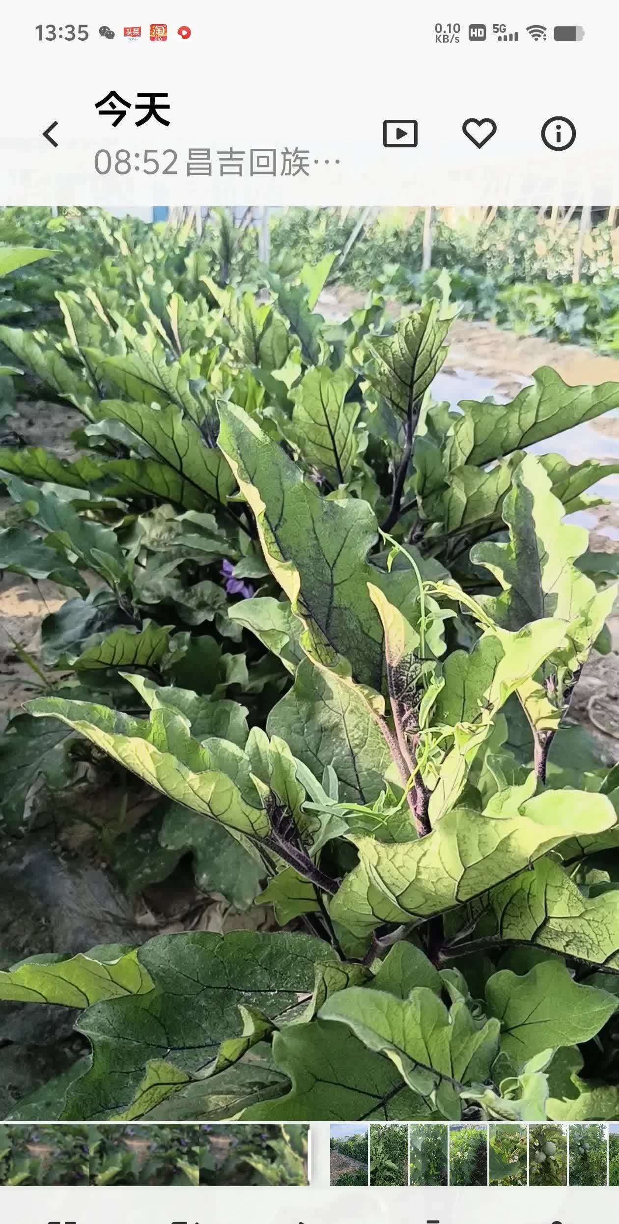 该降价了！昨天去芳草湖农贸市场，发现今年蔬菜价格高于去年。经询问价后原来芳草