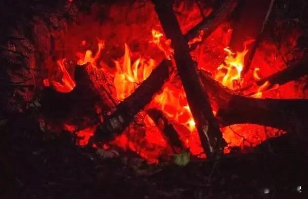 不知道为什么突然很多人说竹子不易燃烧，甚至还有自称来自农村“竹子世家”的人跑出来