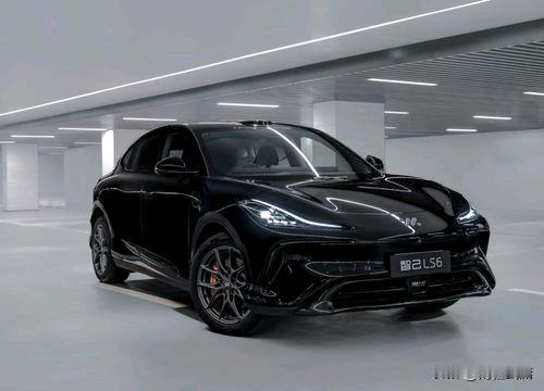 智己12月卖爆了！LS6直接拿下双料冠军，太给国货长脸了刚看到智己汽车12