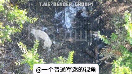扎波罗热地区，俄伞兵108师发布了一个非常惨烈的视频，他们使用投弹无人机在卡缅斯