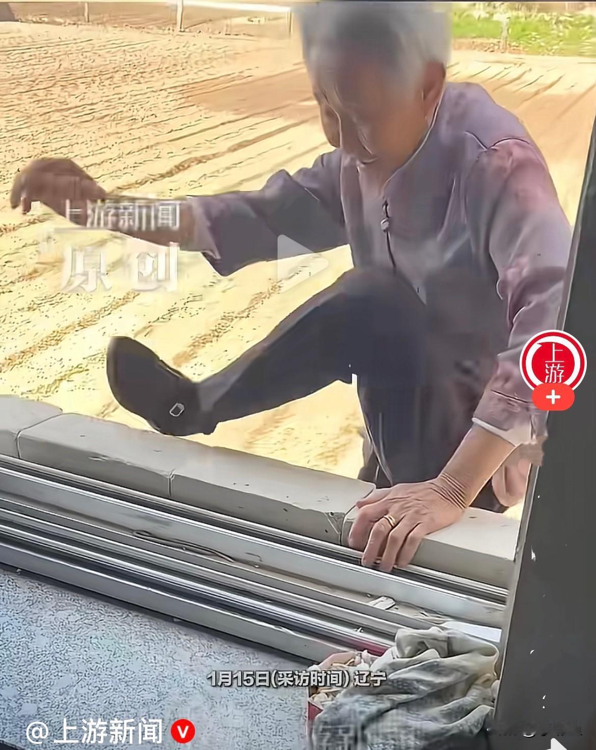 近日，辽宁沈阳一位90岁的老奶奶火了……老奶奶身体很硬朗，每天在地里