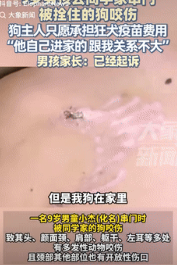 “冤吗？”江西南昌，一9岁男孩去同学家串门，结果一进去就被拴住的狗弄翻了，男孩吓