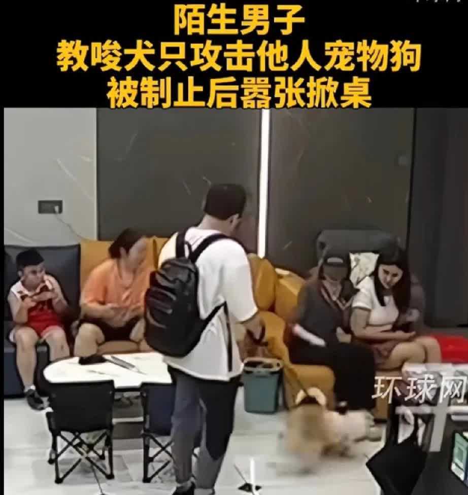 把狗当做“闺女”！湖南郴州，一男子拉着自己柯基恶意攻击陌生女子宠物狗，当事人表示