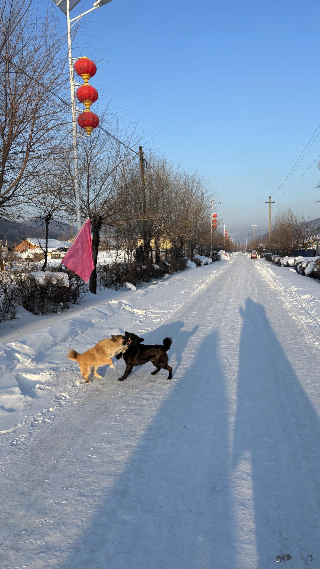 说所有东北人是山东人的后裔，这可太片面啦。清朝后期“闯关东”，大批山东人因自然