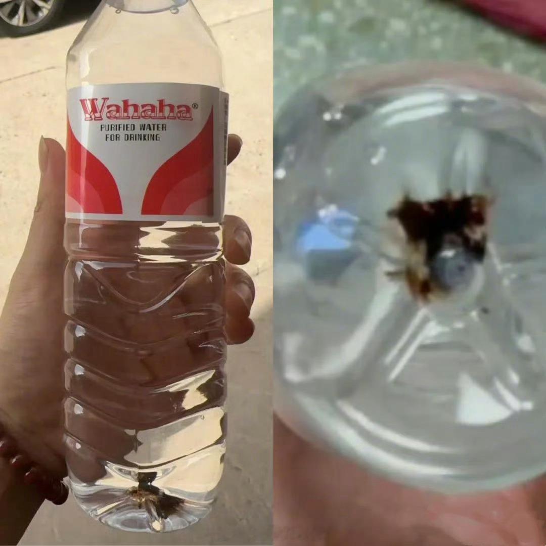 娃哈哈回应瓶装水现黑色异物：当地经销商称可能是“瓶子注塑时料糊了”。​​​