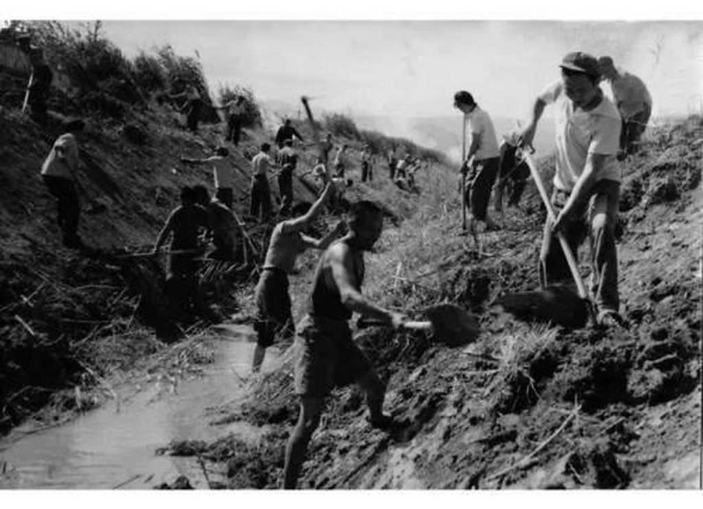 2023年最值得期待的10部电影