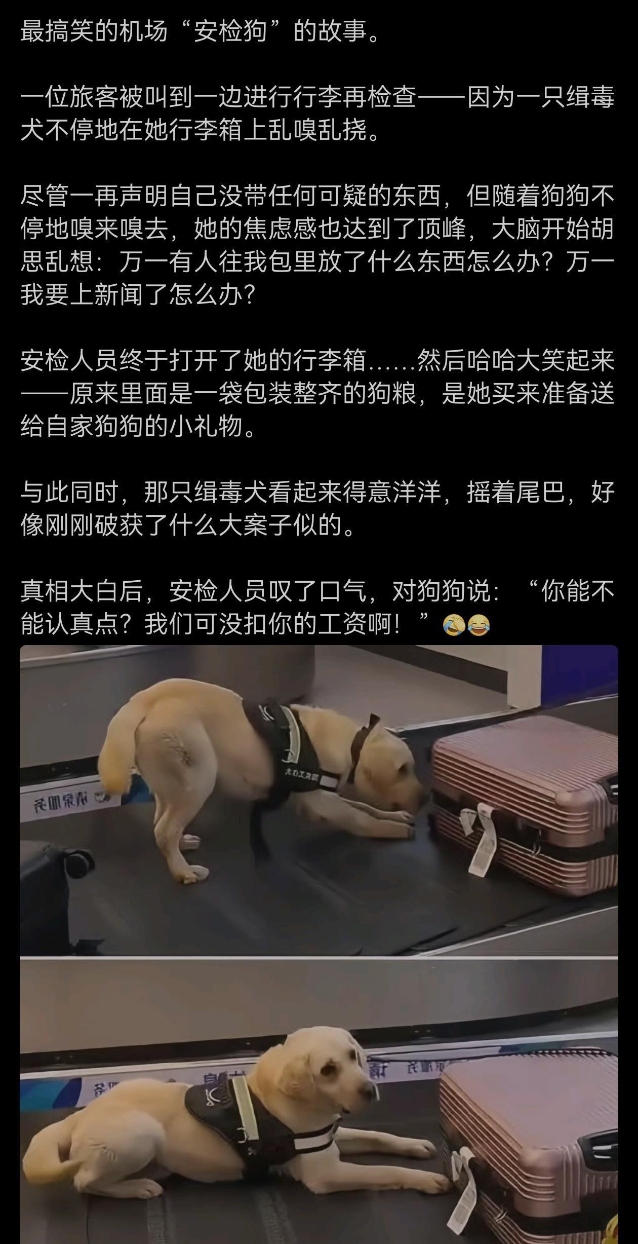 应该不会吧？这种狗都是经过专业训练的。