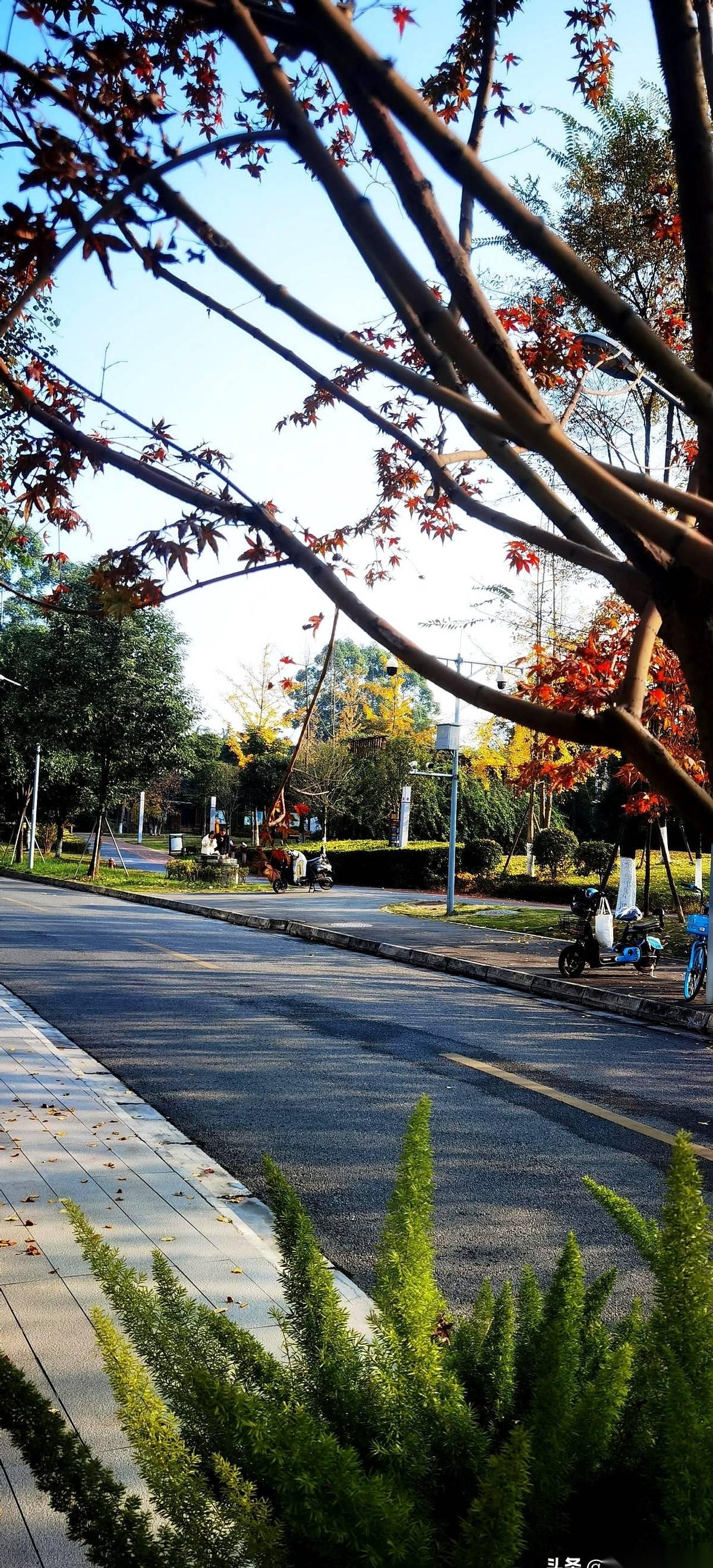 就因为昨天事儿多，少发了3篇，后台流量直接给我干到了腰斩。真的，连个招呼都不打