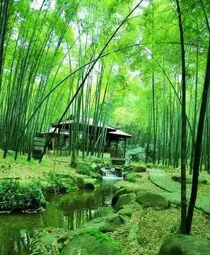 早安！今天，让我们用一颗感恩的心，开启一段温暖而励志的故事。在一个风和日丽的