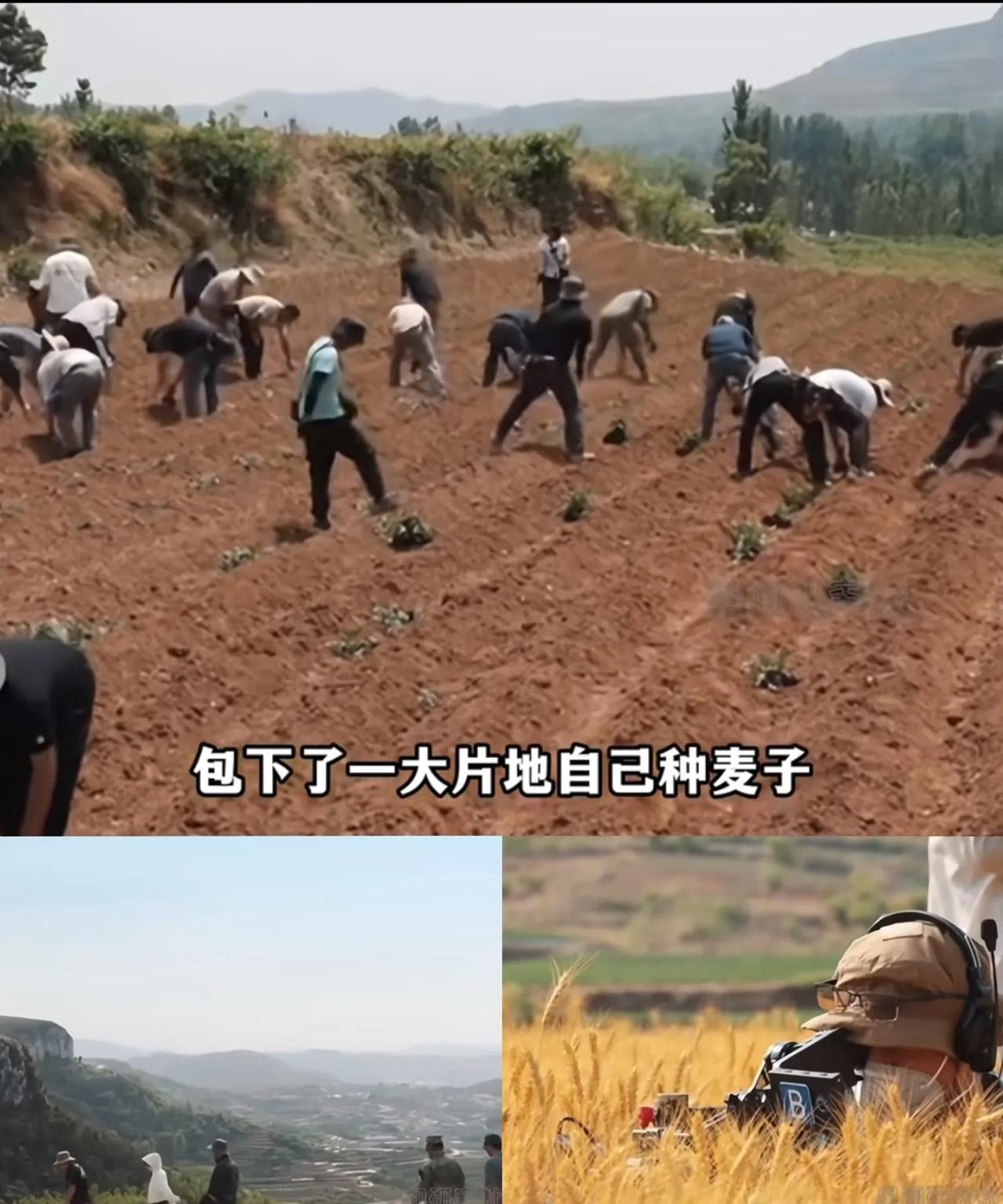 破案了，难怪《生万物》会这么火！不是因为杨幂的演技“上道”了，也不是因为配角太