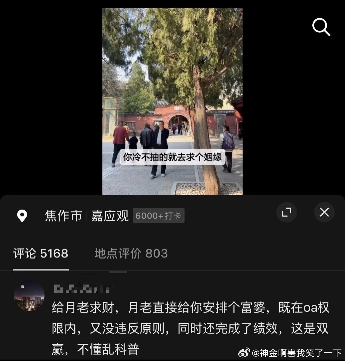 6062别为难月老了