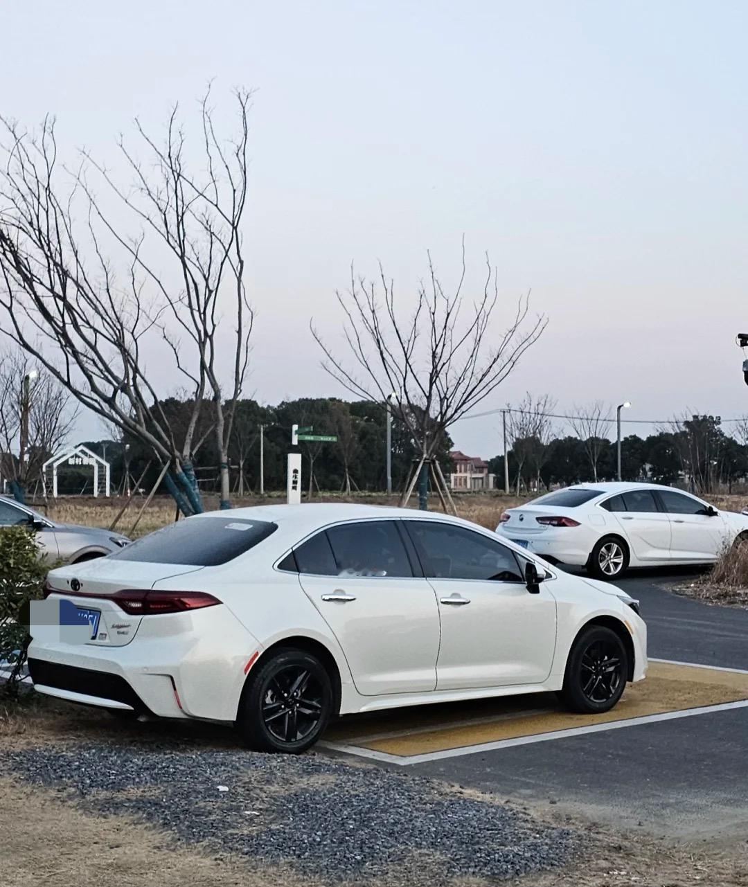 预算10来万选家用车，你有没有在卡罗拉和雷凌之间纠结过？俩车看着外观貌似一样，相