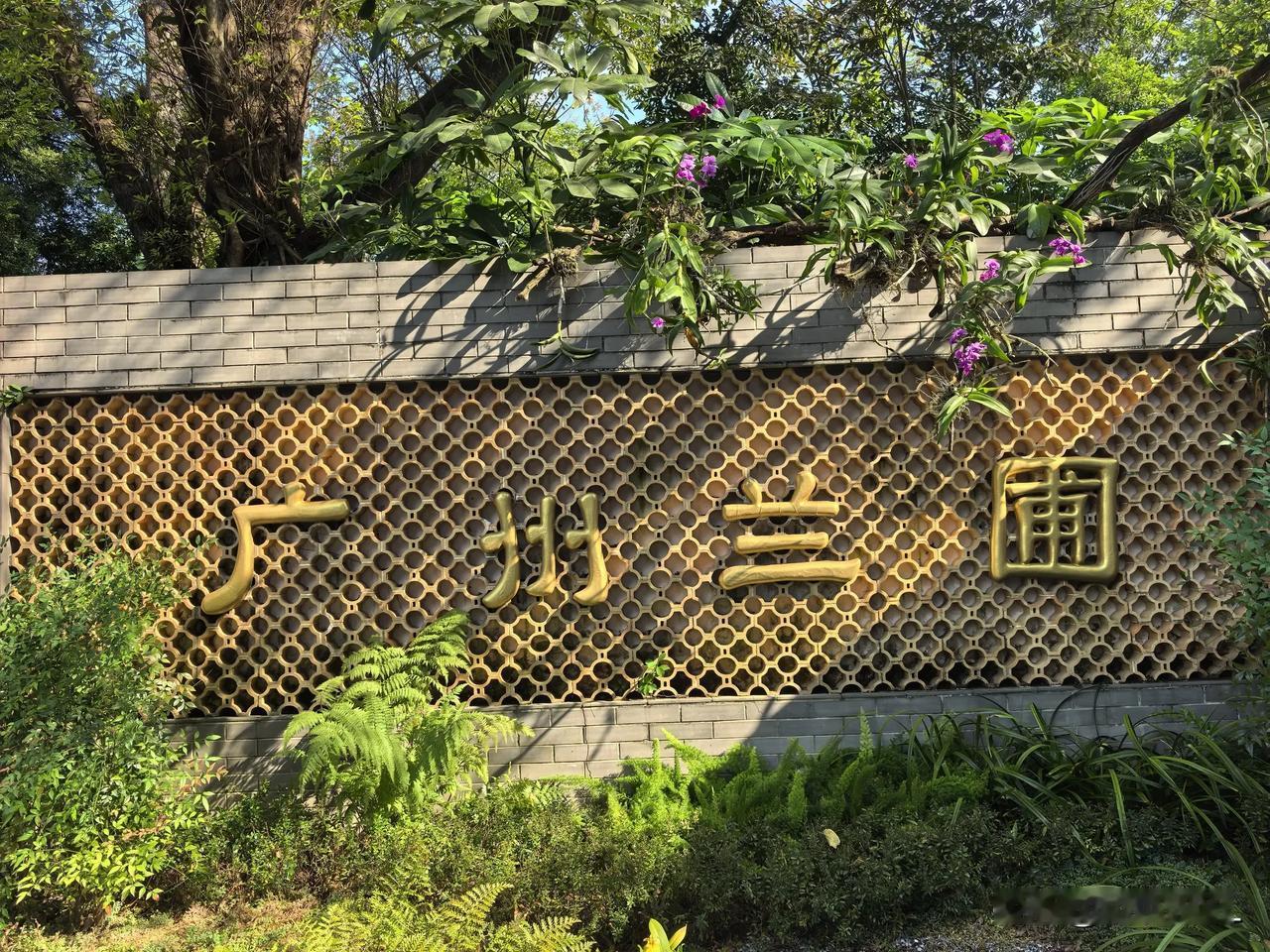 广州兰圃赏兰花正当时国庆你在哪个城市节假日，留在广州，寻找最安静最美丽的地方